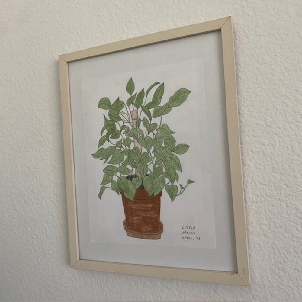 Original Art Philodendron "Little Mama" April‎ 2016 Pencil Drawing Framed - Picture 8 of 10